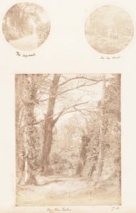Yaklaşım, Ormanda, Göl Kenarında, 1853-56. by James Knight