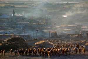  by James L Stanfield
