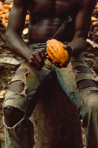  by James L Stanfield