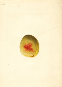  by James Marion Shull