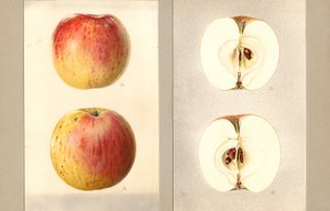  by James Marion Shull