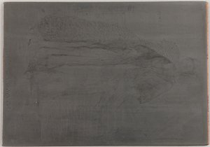 La Mere Gerard. <em>Doğadan On İki Gravür</em>