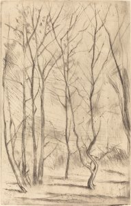 Baraj Ağacı by James Abbott McNeill Whistler