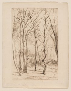 Baraj Ağacı by James Abbott McNeill Whistler