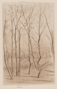 Baraj Ağacı by James Abbott McNeill Whistler