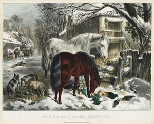 Hasırlık, Kış, 1800