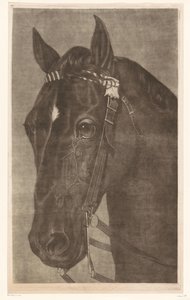 Bir dizgin ile bir atın başı by James Newman Hodges