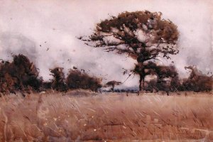 Rüzgâr by James Paterson