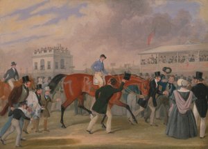 Derby Evcil Hayvanlar: Kazanan by James Pollard