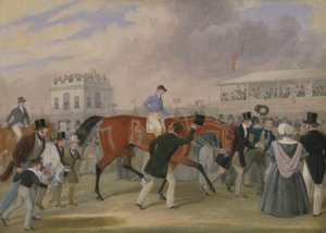 Derby Pets: Kazanan by James Pollard