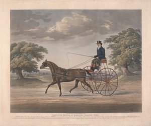 Zamana Karşı Harness'te Trotting Maçı by James Pollard