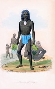 Tilcopia Yerlileri, c1850. by James Prichard