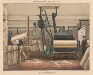 Pamuğun ilerlemesi, # 3: Lap-frame by James Richard Barfoot