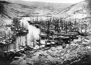 Kırım Savaşı sırasında Balaklava Limanı, 1855 dolayları