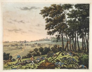 Hougoumont Şatosu: Şatoyu çevreleyen ahşabın görünümü by James Rouse