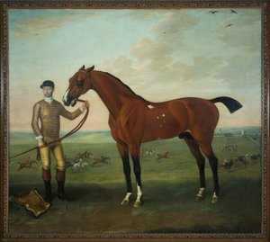 Newmarket Heath