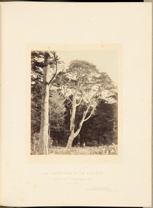  by James Sinclair, 14th Earl of Caithness