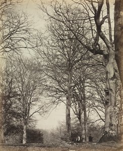 Kraliçe Adelaide'nin Kayını by James Sinclair, 14th Earl of Caithness