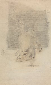 Bir fare by James Sowerby