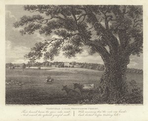 Robert Bloomfield, şair: Wakefield Lodge, Whittlebury Ormanı (gravür)