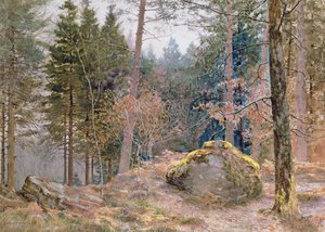 Galli bir ormanda, kış by James Thomas Watts