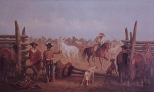 Tejano Çiftçileri