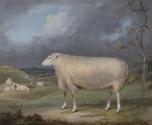  by James Ward