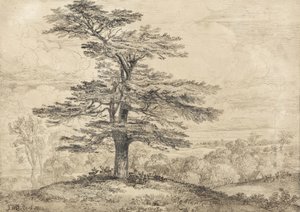 Gölgesinin Altında Gruplanmış Geyik Sürüsü ile Yükselen Bir Sedir by James Ward