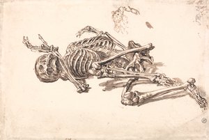 Bir İnsan İskeleti by James Ward