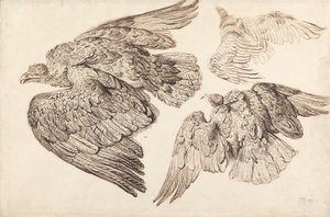  by James Ward