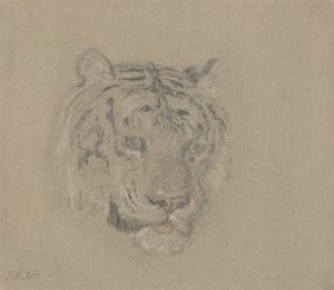 by James Ward
