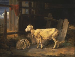 Heath Koyun ve Kuzuları by James Ward