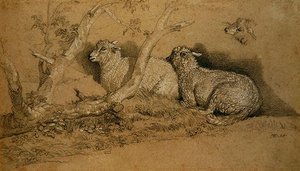 Ormanlık Bir Koruda Dinlenen Koyunlar ve Bir Koyun Başının İncelenmesi (gri kağıt üzerinde siyah beyaz tebeşir) by James Ward