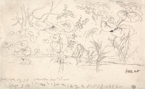 Bitkiler Çalışmaları, 2 Ağustos 1815 by James Ward