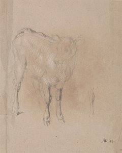 Buzağı Çalışması by James Ward