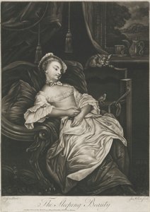 Uyuyan güzel by James Wilson
