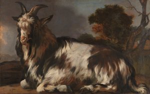 Keçi Yatarken by Jan Baptist Weenix