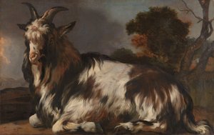 Yatan Keçi by Jan Baptist Weenix
