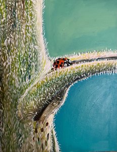  by Jan Barzottini