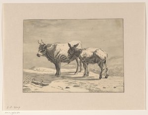 Boğa ve bir eşek by Jan Bedijs Tom