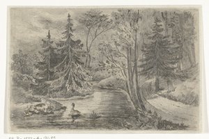 Ördekler ile bir gölet tarafından orman yolu by Jan Bos Wz.