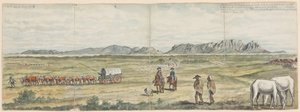 Cape Plains