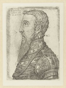 Portret van Hendrik II Galyalıların Kralı Henry (nesnedeki başlık) by Jan Cornelisz Vermeyen