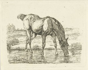 at içmek