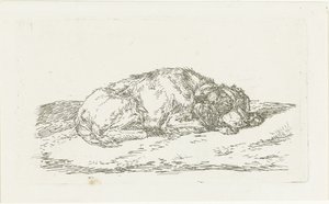 Başı ön ayakları üzerinde duran uyuyan köpek by Jan Dasveldt