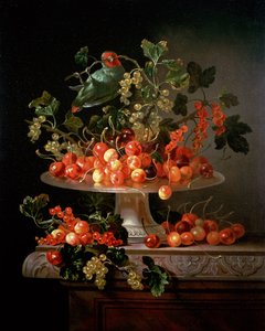 Papağanlı Bir Natürmort Kiraz ve Kuş üzümü by Jan Frans van Son