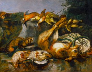 Ölü Oyun ve Gelincikler by Jan Fyt