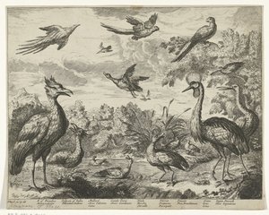 Bir manzarada farklı kuşlar by Jan Griffier (I) (copy after)
