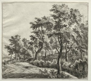  by Jan Hackaert