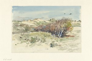 Bloemendaal ve IJmuiden arasındaki kumul manzarası